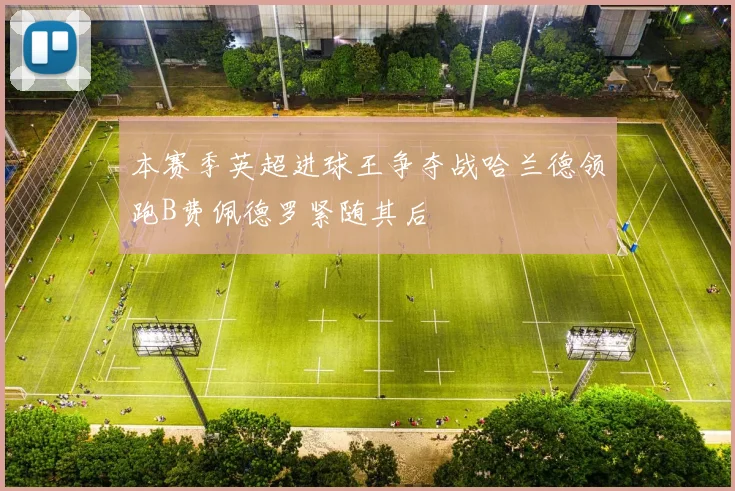 本赛季英超进球王争夺战哈兰德领跑B费佩德罗紧随其后